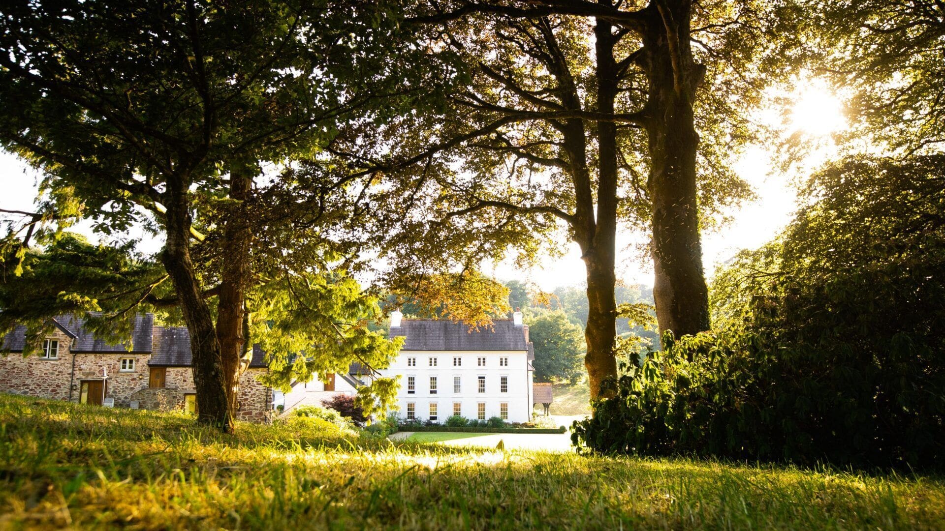 6 tree planting hotels for a forest-friendly stay 3 Grove of Narberth