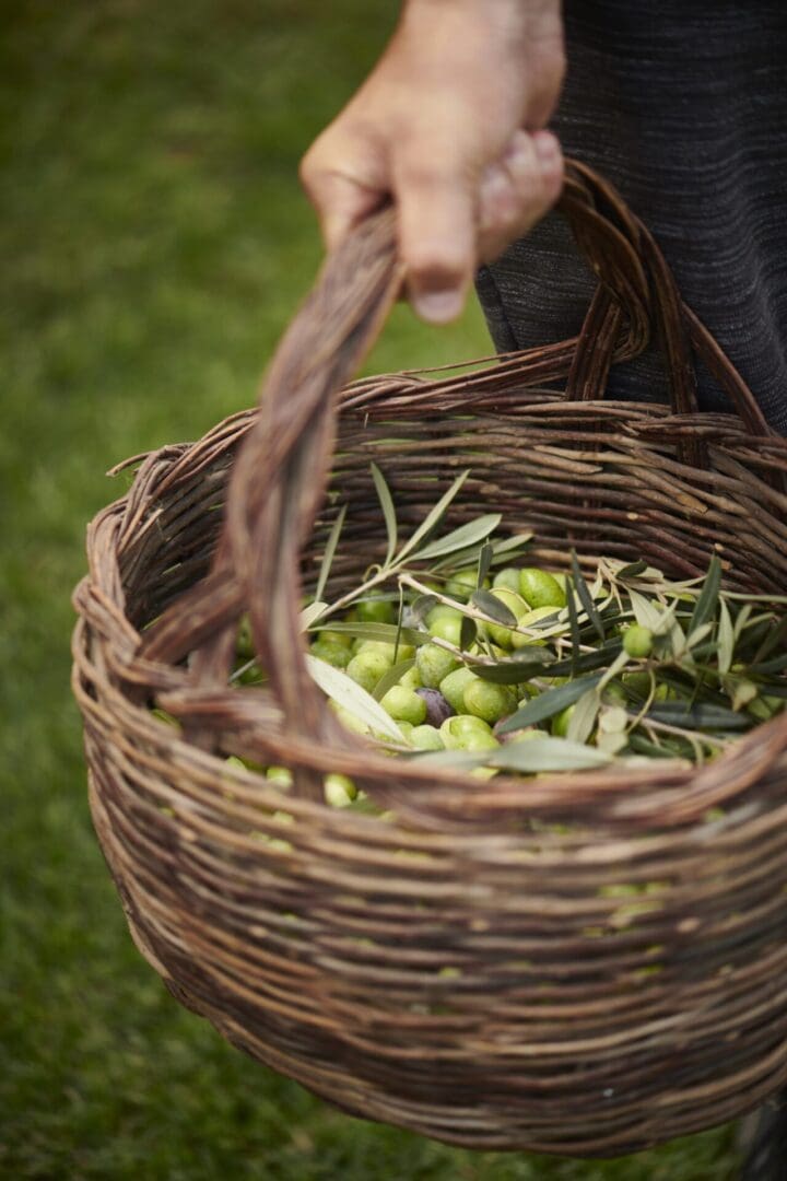 Where to go next for an eco-luxury escape 6 15 CASCIONI ECO RETREAT OLIVE HARVEST DETAILS HR 21 0181 scaled 1 scaled
