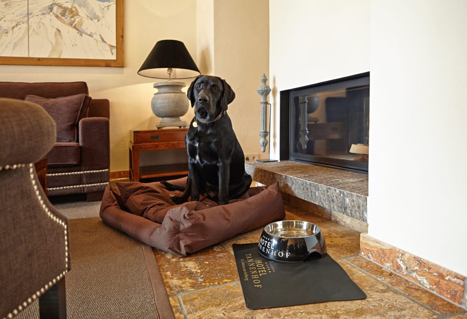 The ultimate dog-friendly boutique hotel guide 47 Hotel Tannenhof