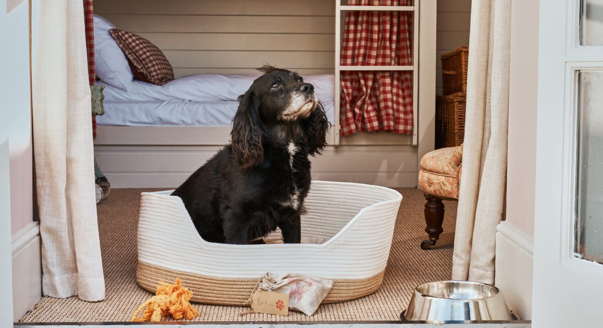 The ultimate dog-friendly boutique hotel guide 2 202020 Oct The Mitre Day 1 WR120 scaled 1 scaled