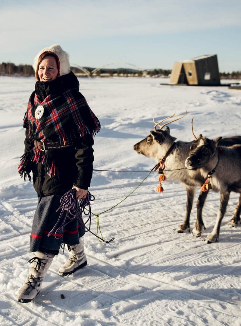 Where to enjoy wildlife responsibly: 10 epic experiences for animal lovers 8 Arctic Bath