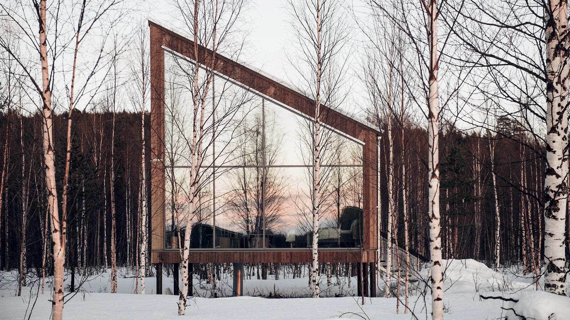 Arctic resized