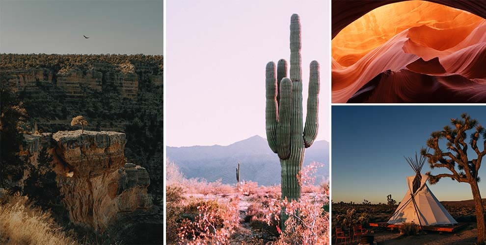 Arizona Collage 1