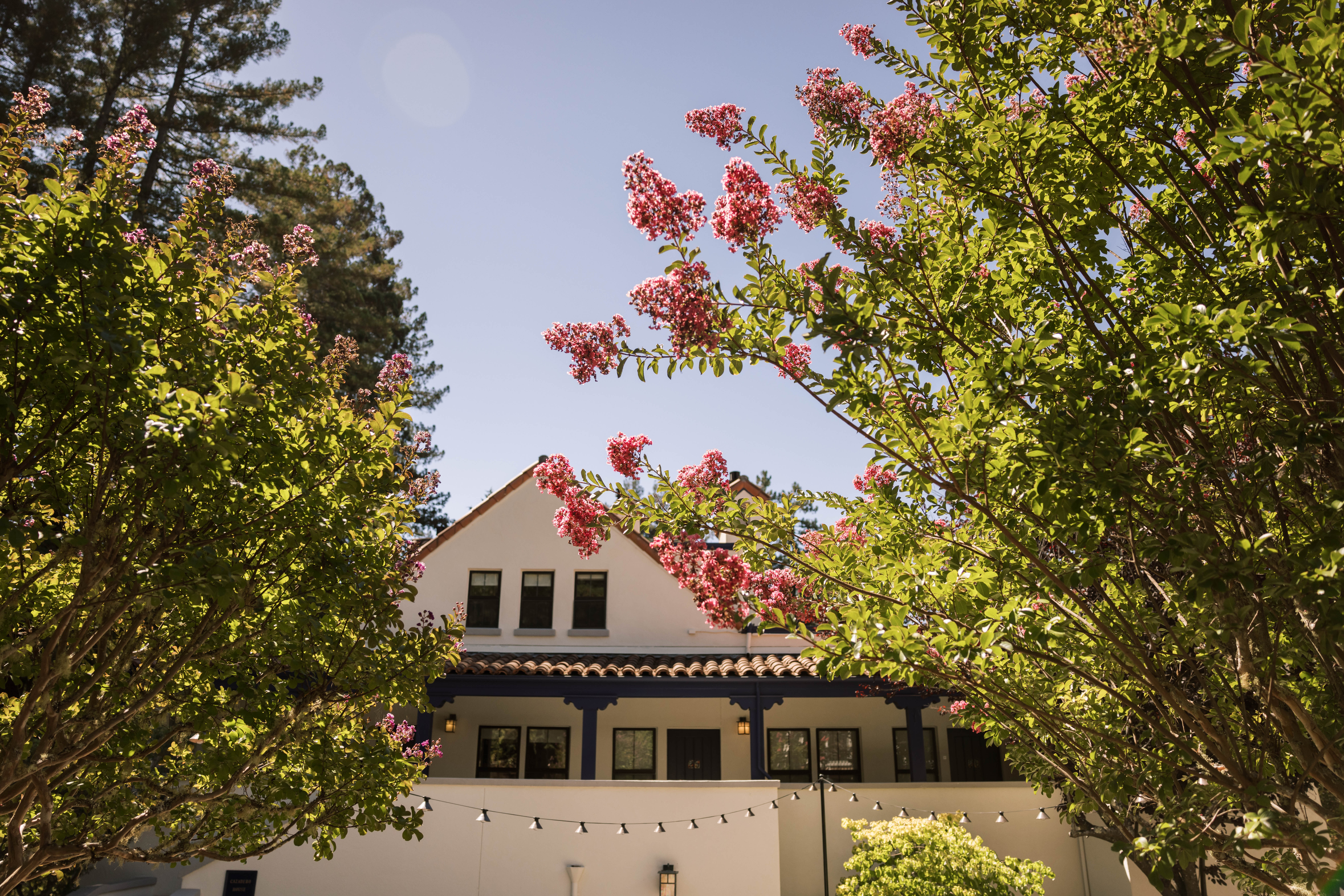 Land of Plenty: a deep dive into Sonoma, California's picturesque wine country 3 August Wedding Cazadero House