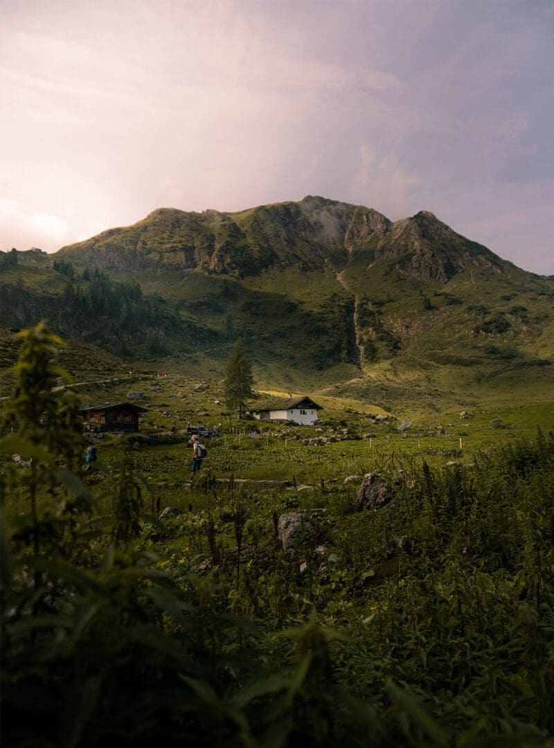 5 blissfully slow travel experiences to savour 2 Austria Alps resized 2