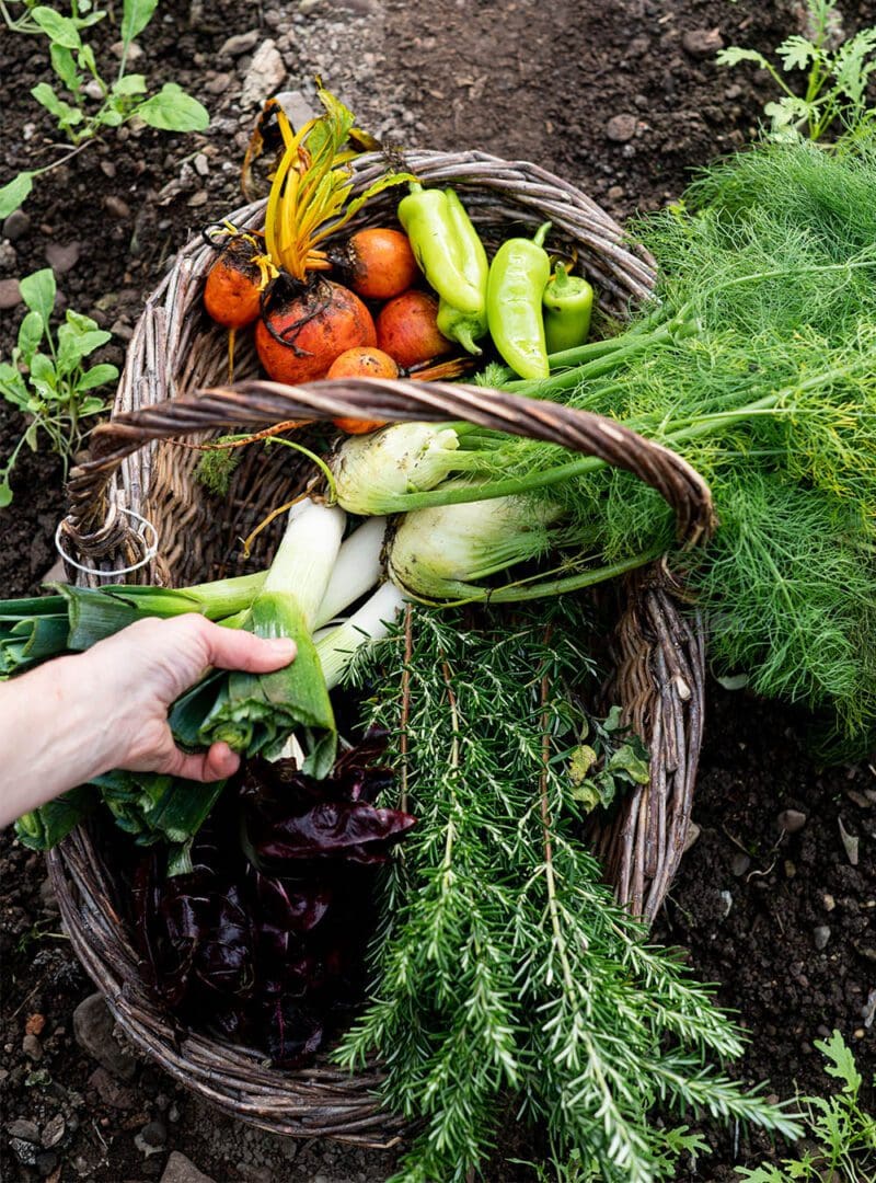 Food for thought: inside Ireland’s culinary icon turned country house hotel 11 Ballymaloe resized 21