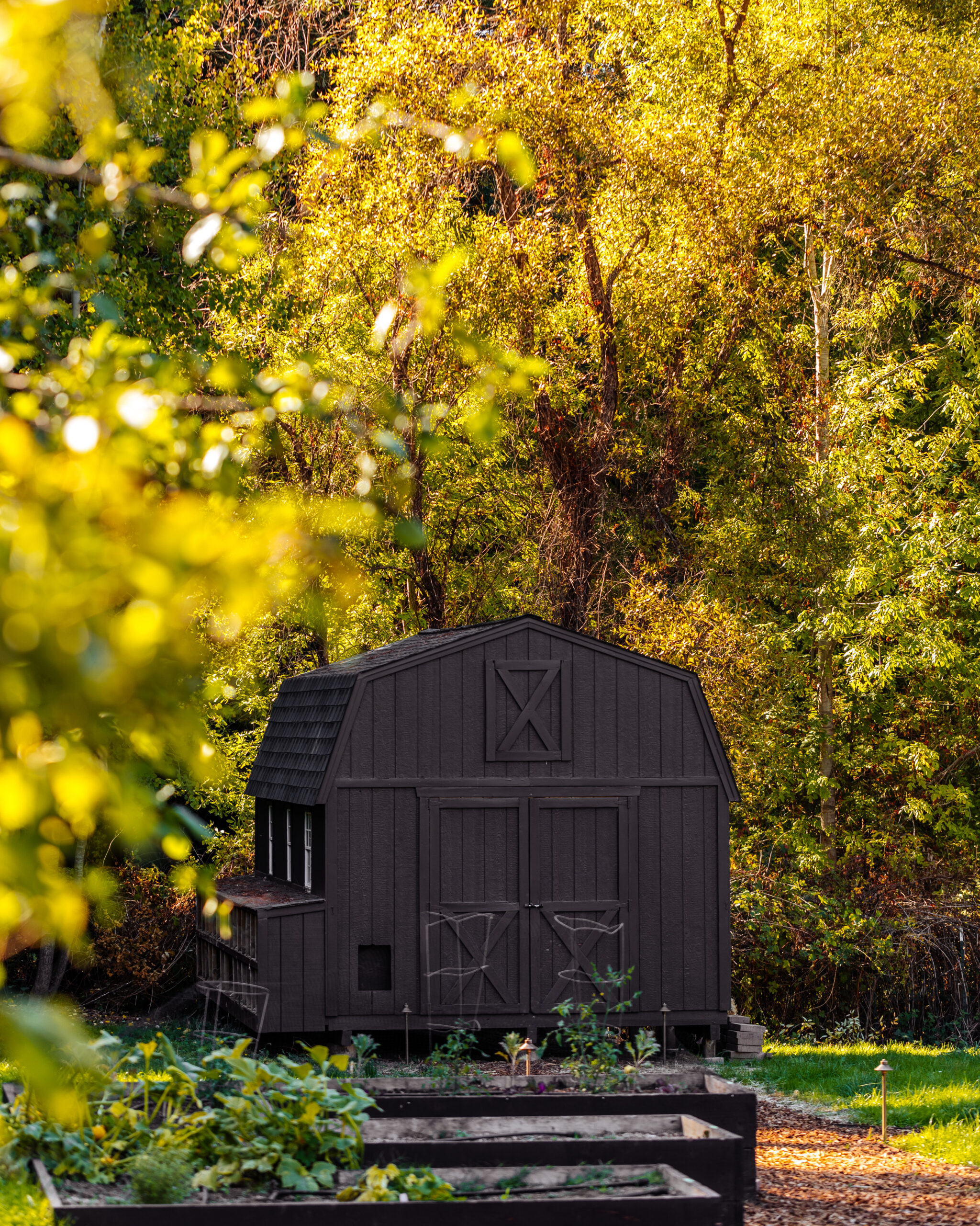Land of Plenty: a deep dive into Sonoma, California's picturesque wine country 1 Barn Meadow EKM scaled