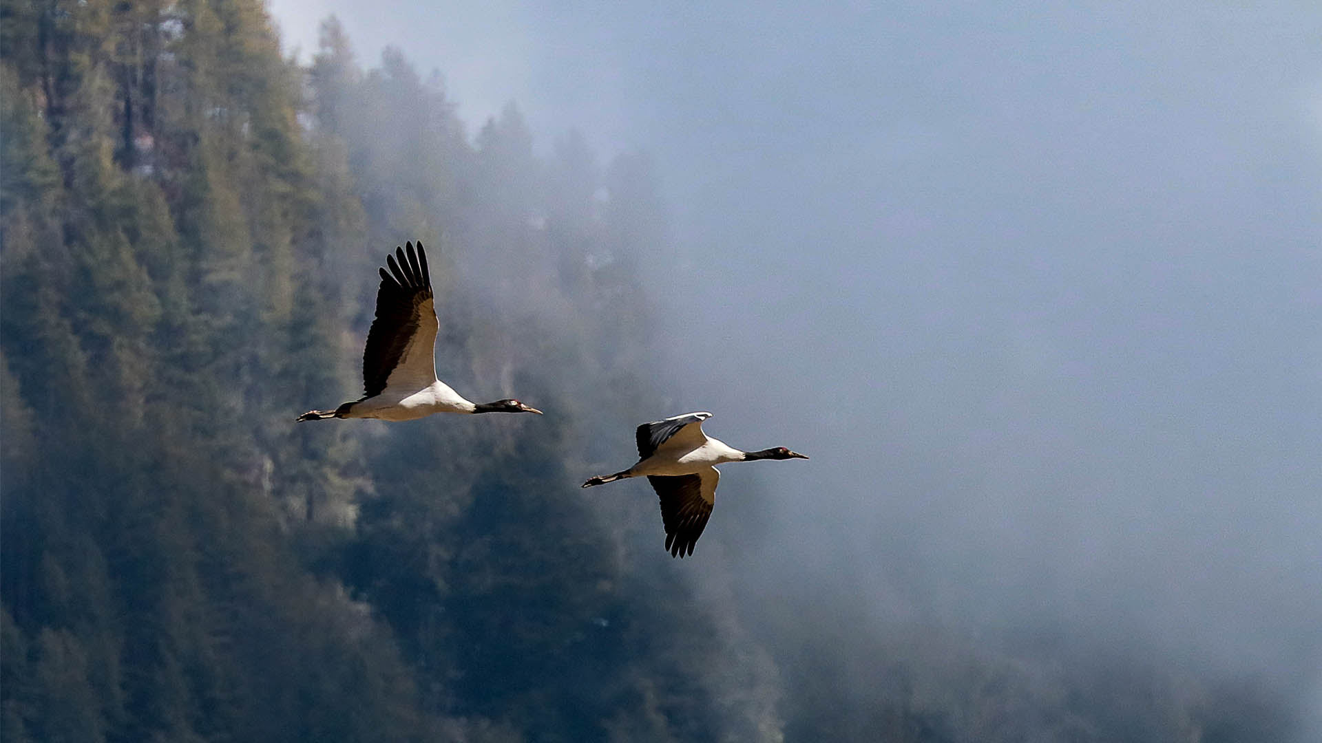 Bhutan reopens its borders with a sustainably-focused ‘transformative’ tourism plan 10 Bhutan