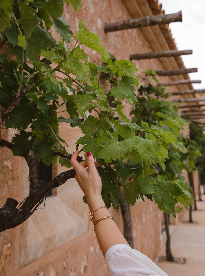 5 of our favourite farmhouse-style stays in rural Spain 14 Can Ferrereta resized 4
