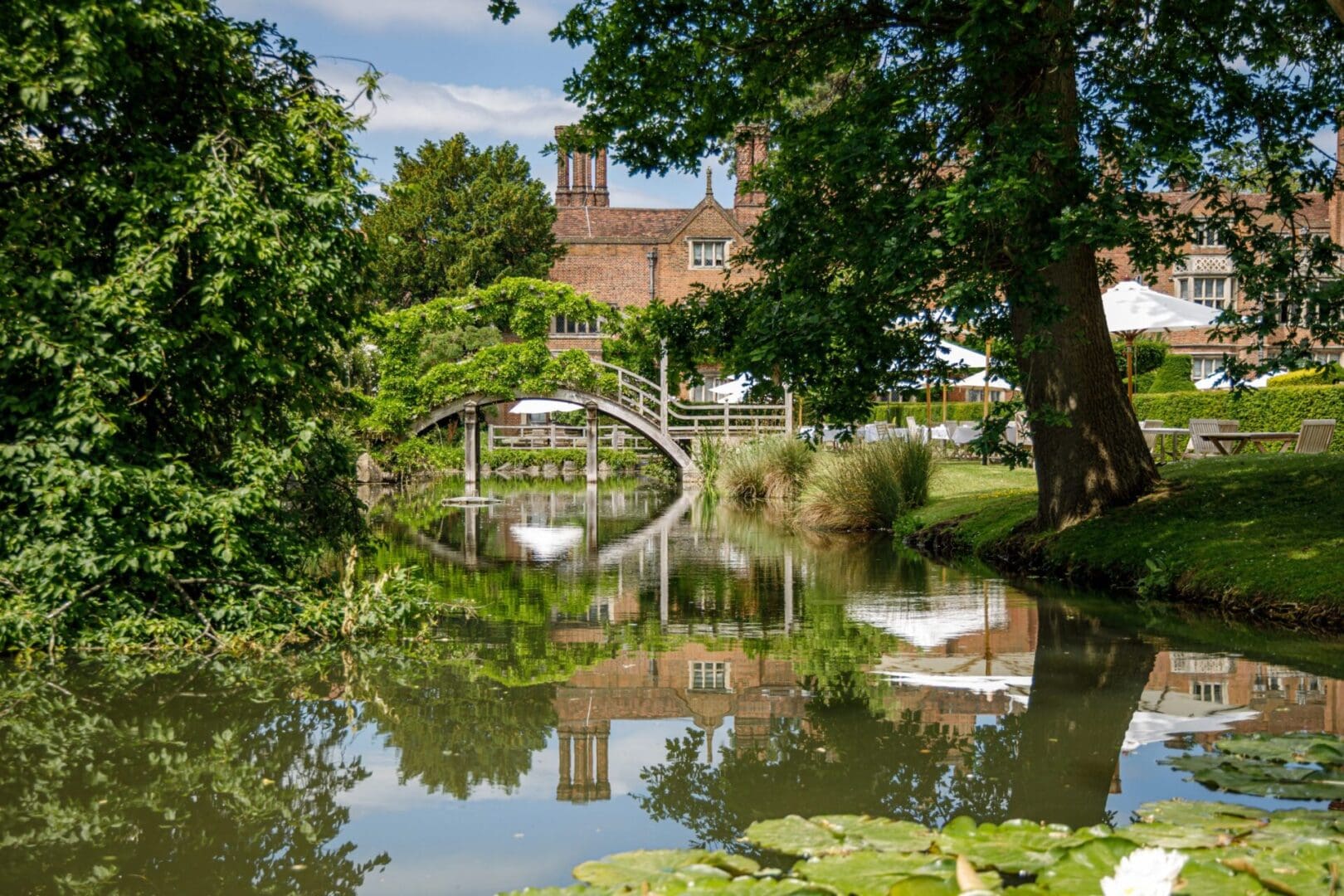 The ultimate dog-friendly boutique hotel guide 13 Great Fosters
