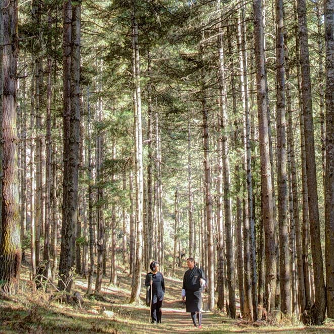 Bhutan reopens its borders with a sustainably-focused ‘transformative’ tourism plan 14 Gangtey Lodge