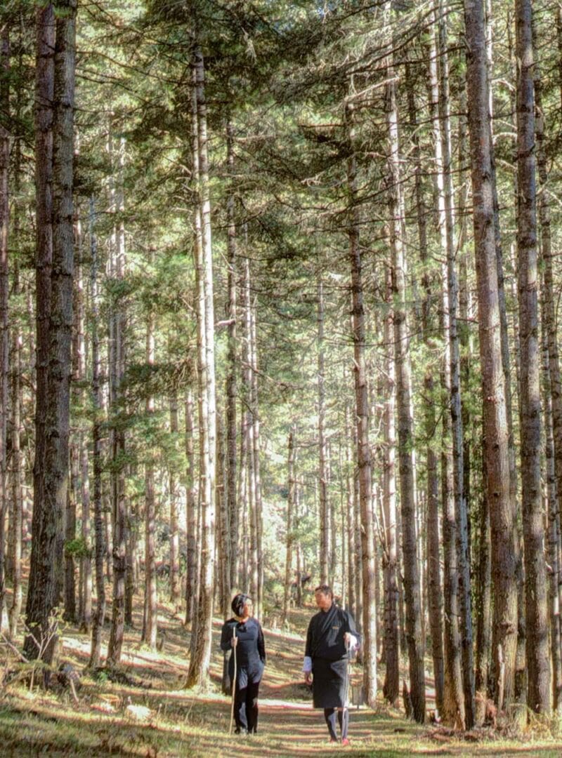 Bhutan reopens its borders with a sustainably-focused ‘transformative’ tourism plan 11 Gangtey Lodge
