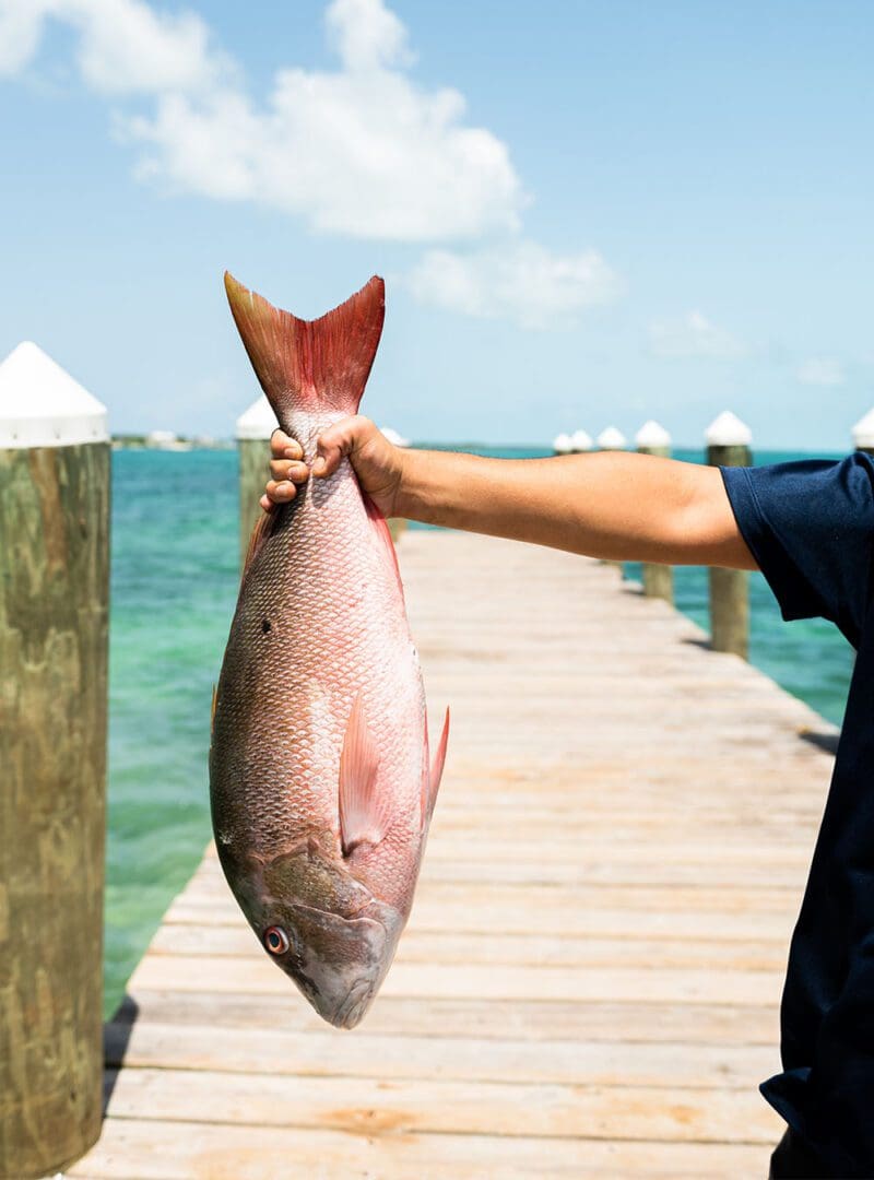 Barefoot Bahamian bliss: inside Nassau’s newest beach resort 13 Goldwynn resized 15