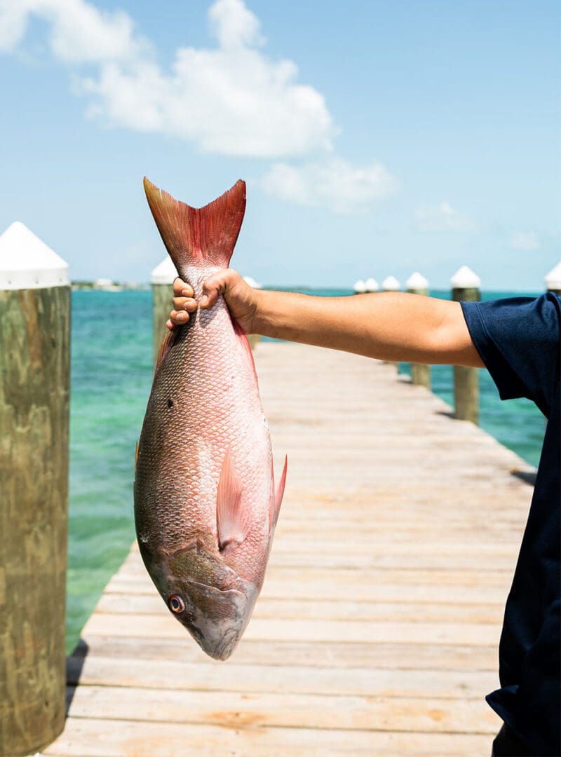 Barefoot Bahamian bliss: inside Nassau’s newest beach resort 10 Goldwynn resized 6