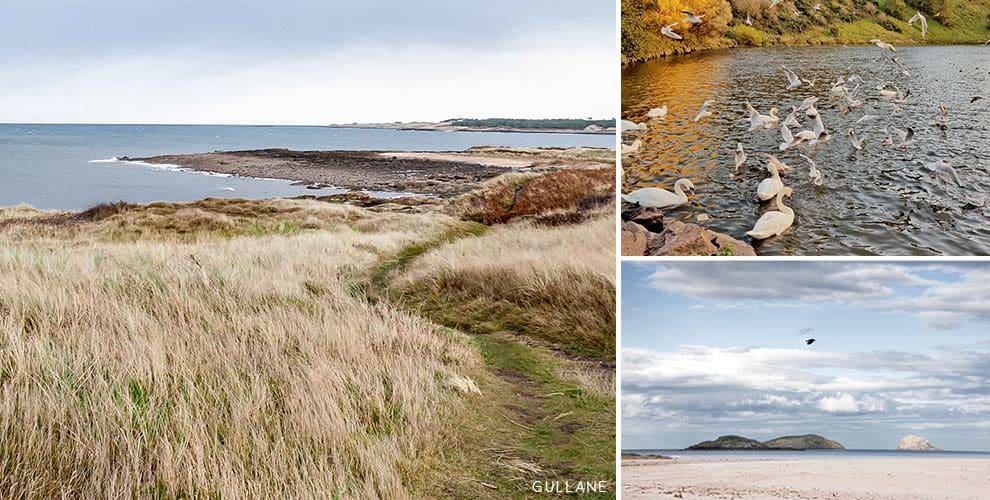 Gullane Collage