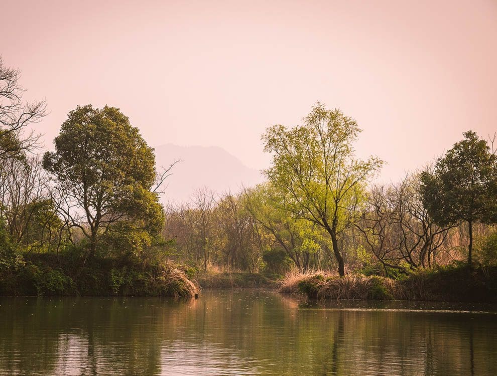 Xixi Wetland Park