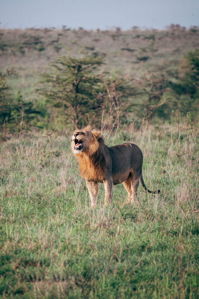 Nairobi