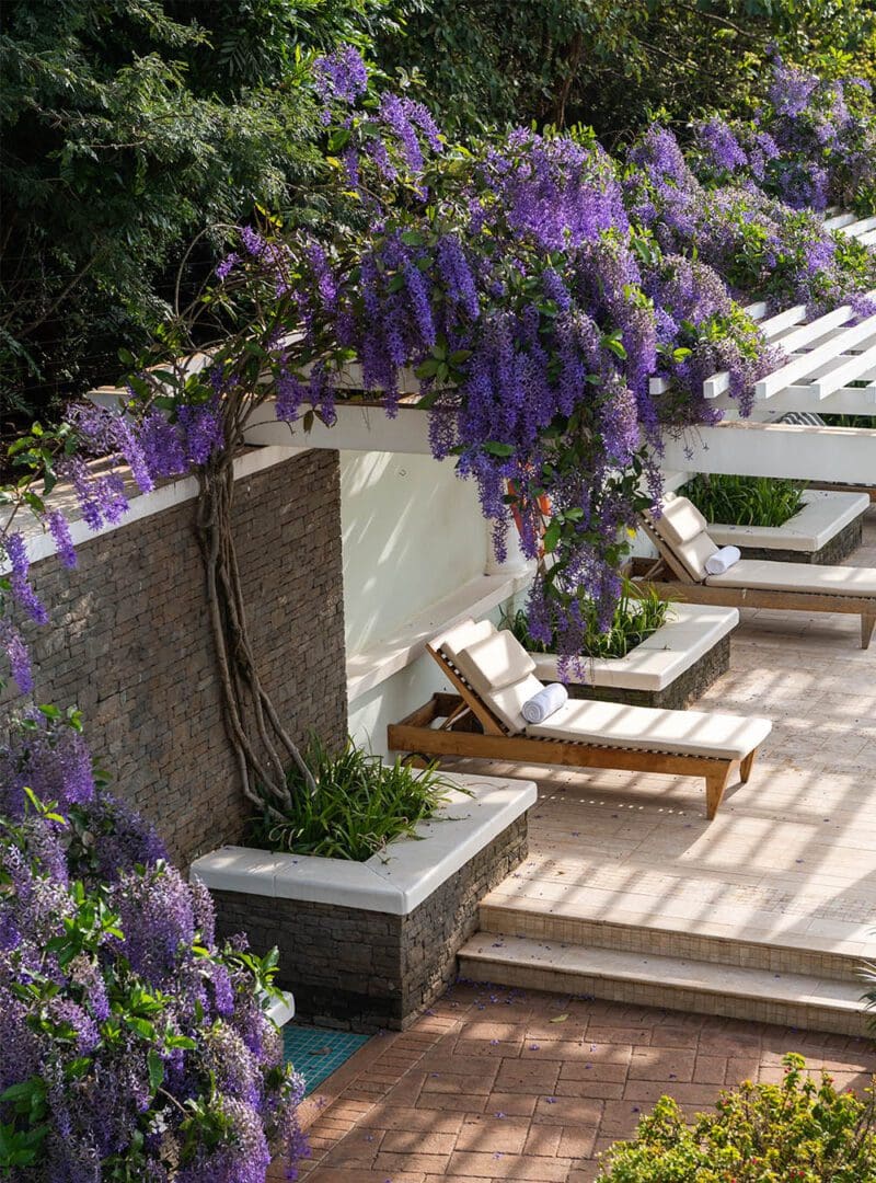 5 reasons why Kenya is our top safari destination 14 Hemingways resized 4