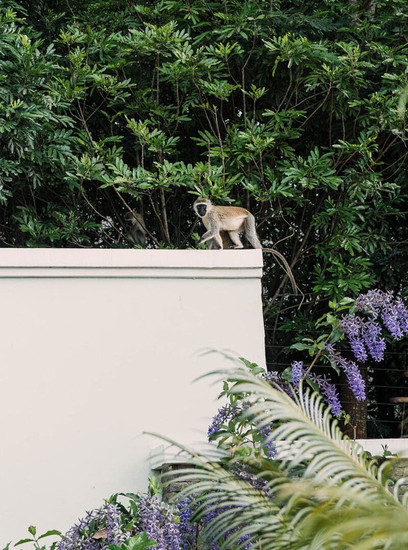 5 reasons why Kenya is our top safari destination 18 Hemingways resized 5