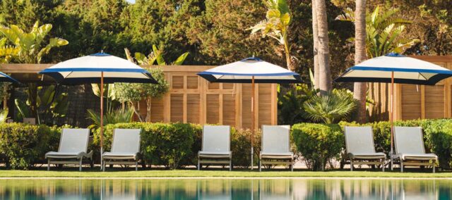 Gecko Formentera poolside