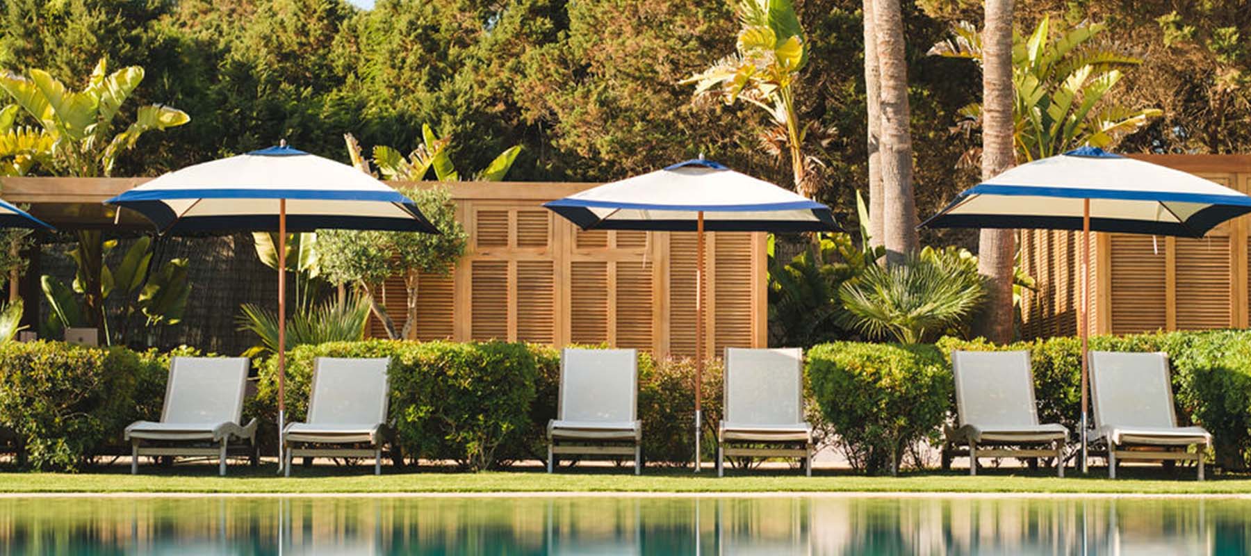 Gecko Formentera poolside