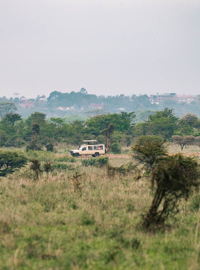 5 reasons why Kenya is our top safari destination 2 Kenya resized 2