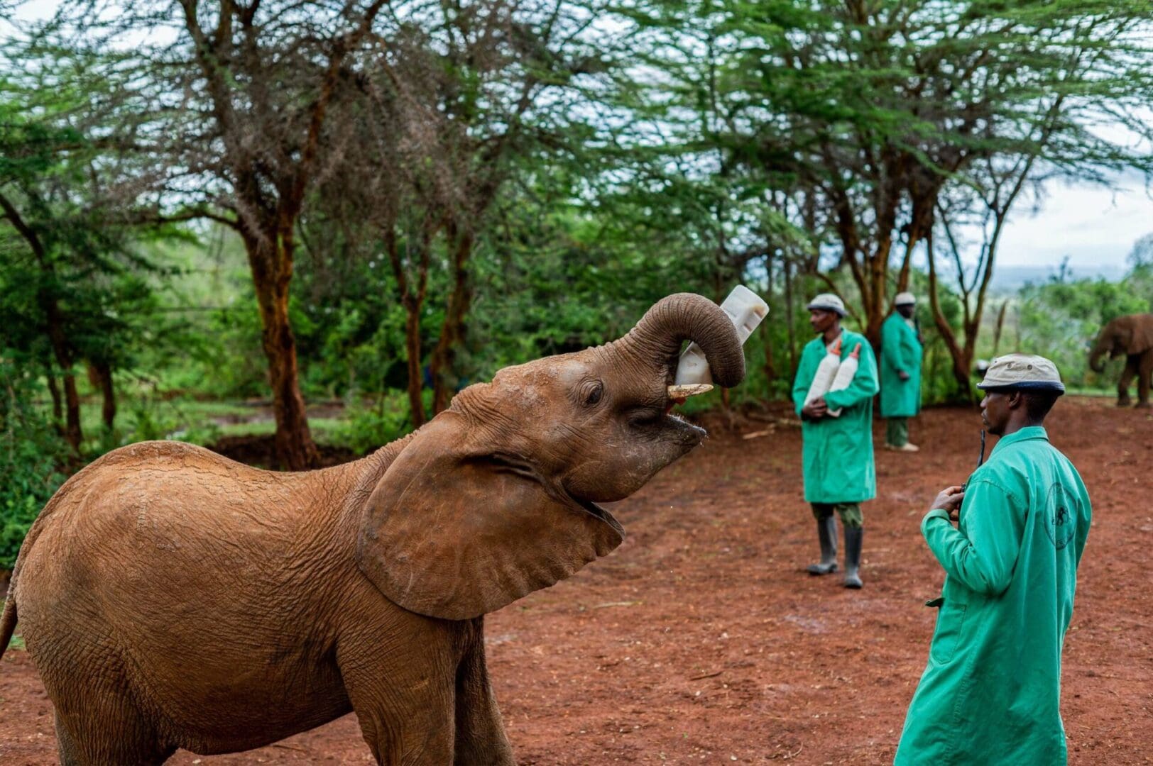 5 reasons why Kenya is our top safari destination 8 Kenya