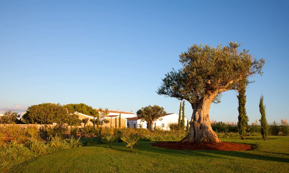 The world’s best boutique hotels for horse riding holidays 4 MG 0008