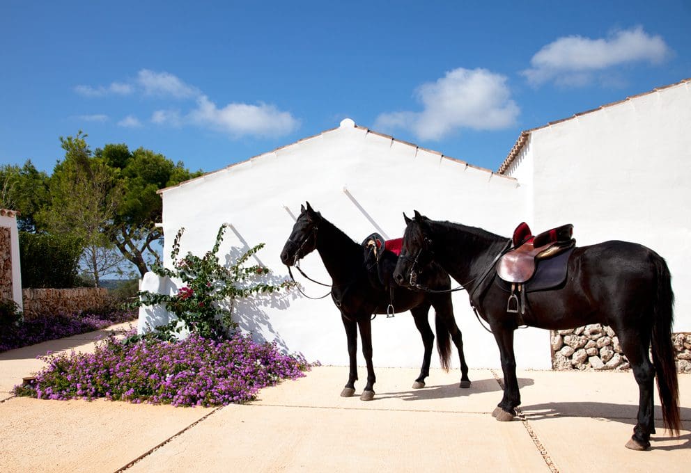 The world’s best boutique hotels for horse riding holidays 6 MG 0177