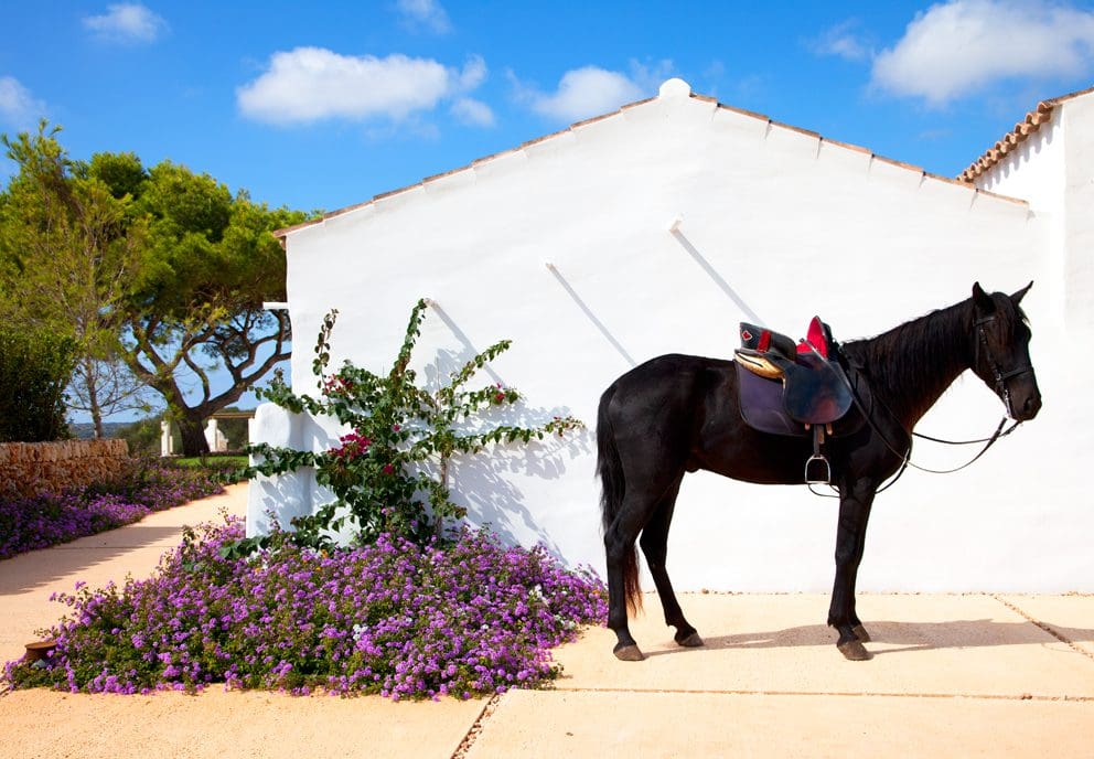 5 of our favourite farmhouse-style stays in rural Spain 3 MG 0189
