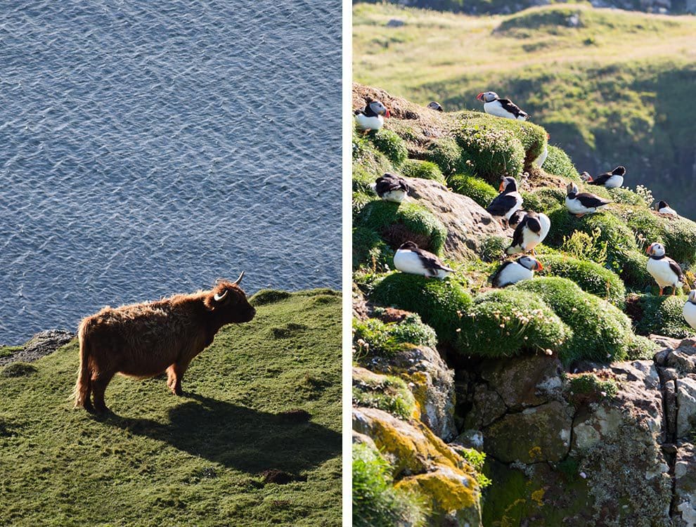 Isle of Mull