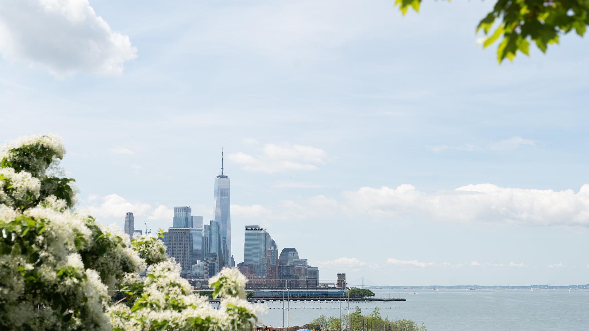 NYC resized 3