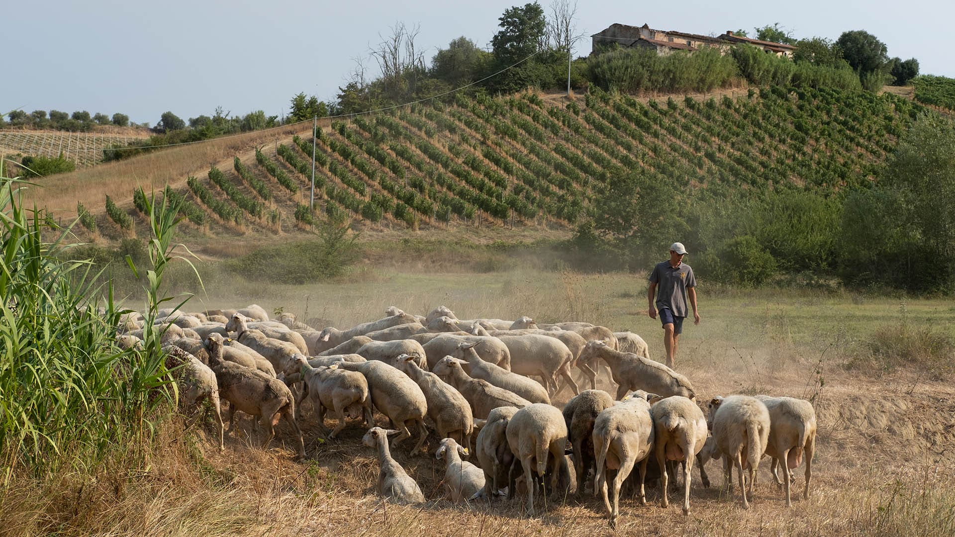 The rain in Spain: sustainable travel notes from Seville 12 Petriolo resized 2