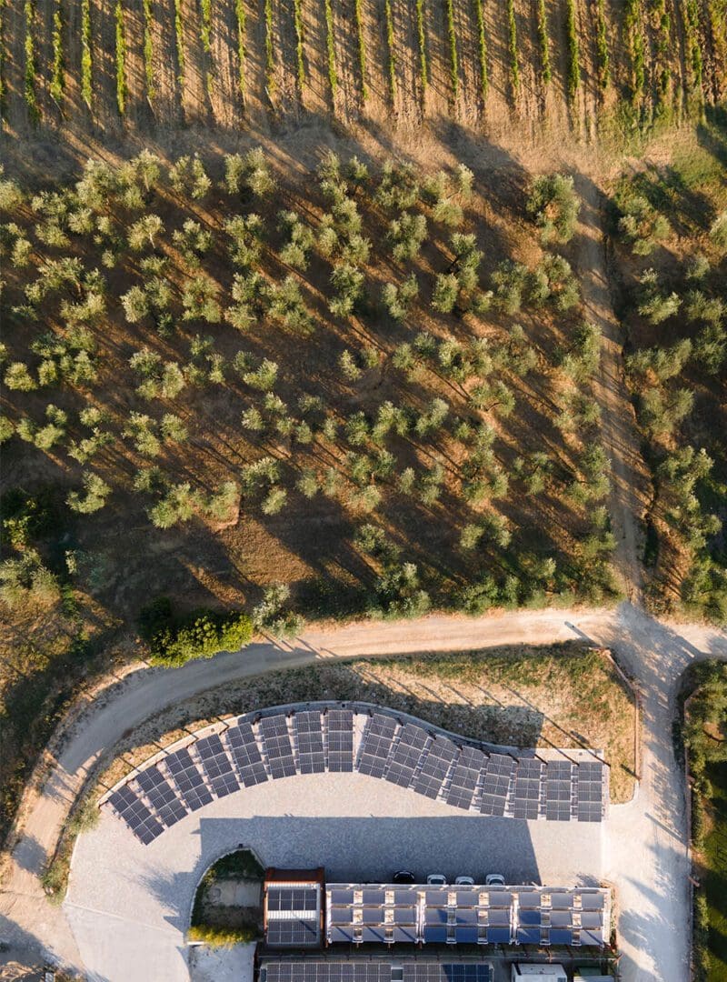The rain in Spain: sustainable travel notes from Seville 11 Petriolo resized 7