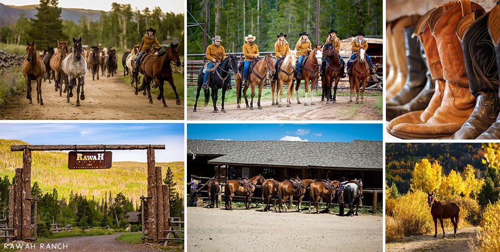 Rawah Ranch Horse Collage