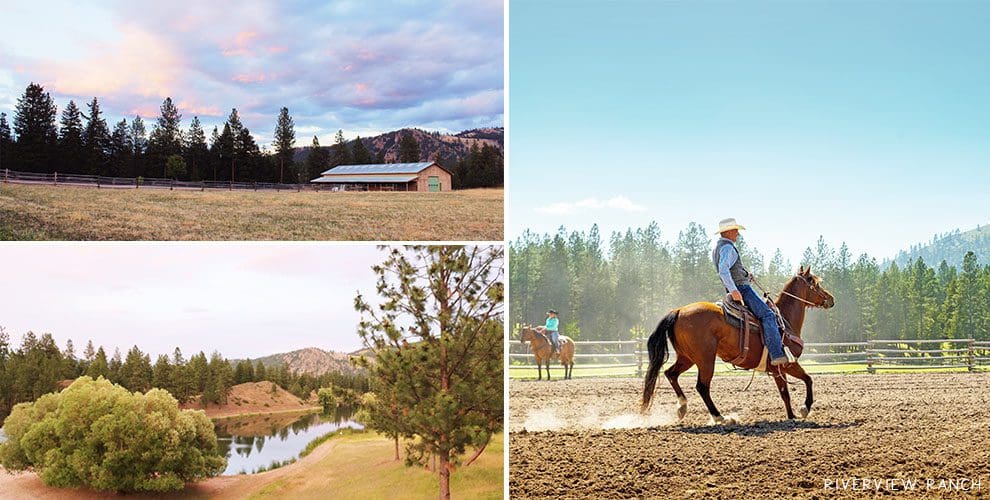 Riverview Horse Collage