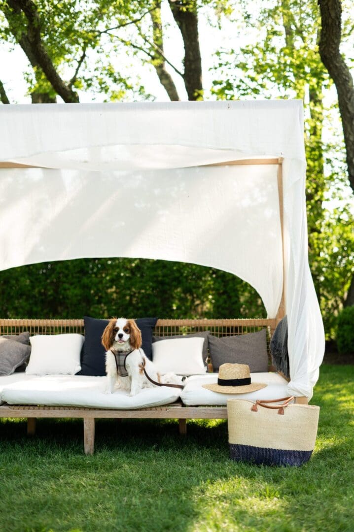 The ultimate dog-friendly boutique hotel guide 23 Roundtree Amagansett005 scaled 1 scaled