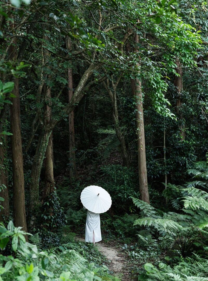 5 holiday ideas to embrace the autumn equinox 10 Yakushima