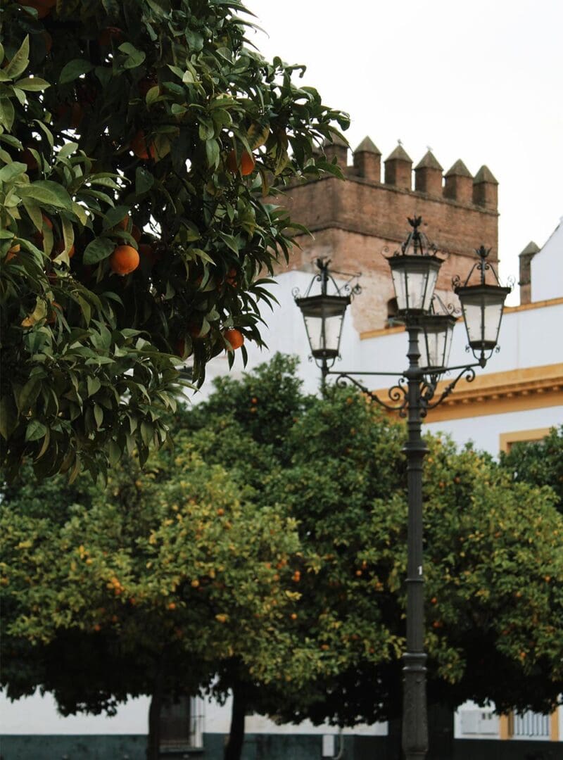 The rain in Spain: sustainable travel notes from Seville 6 Seville resized 4