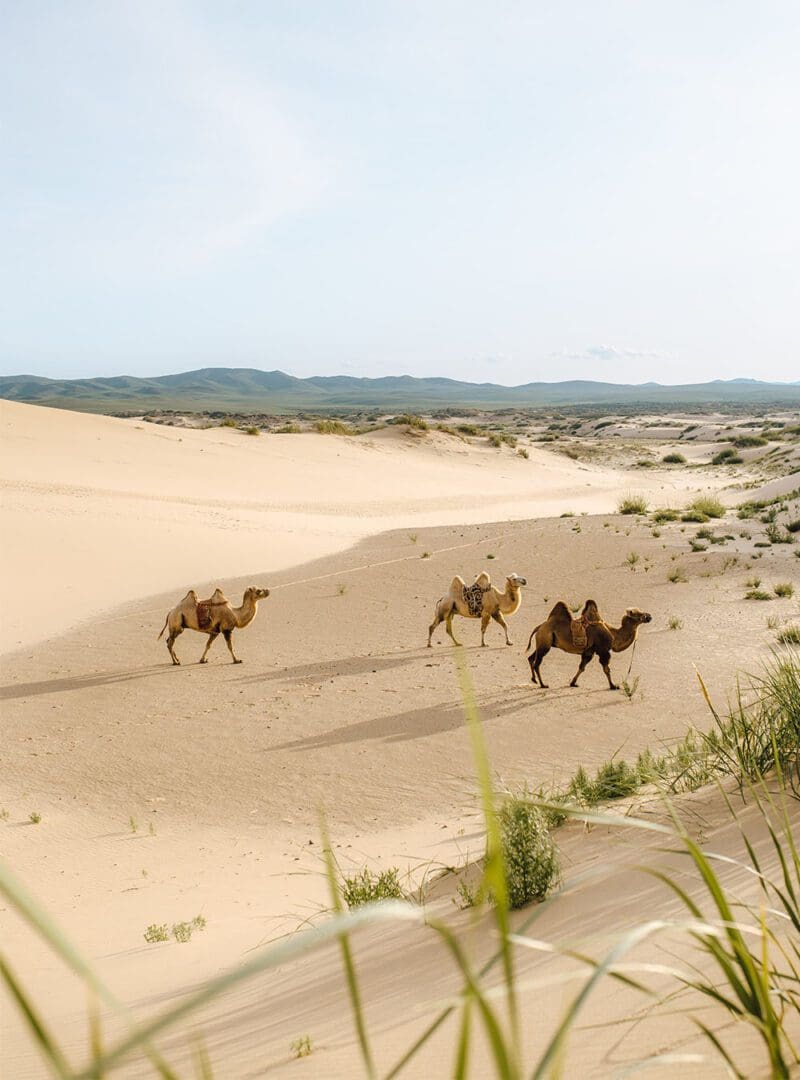 5 blissfully slow travel experiences to savour 7 Silk Routes