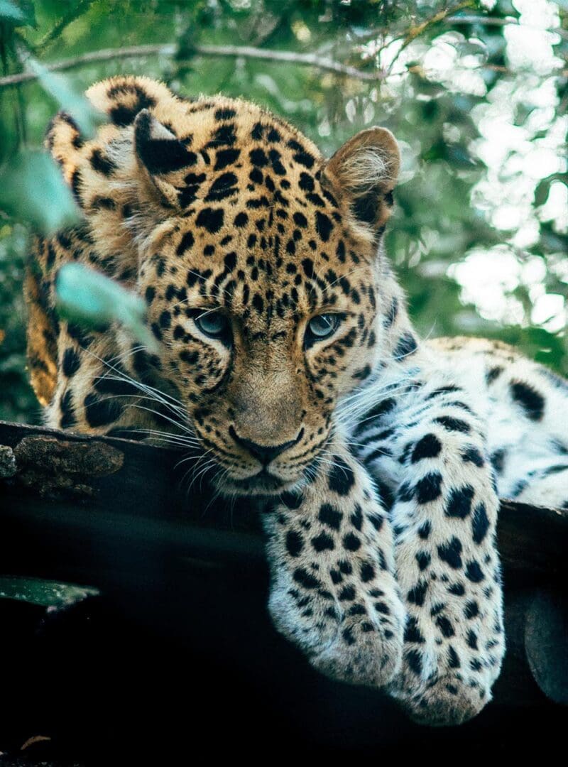 Go it alone: the luxury of solo travel 4 Sri Lanka