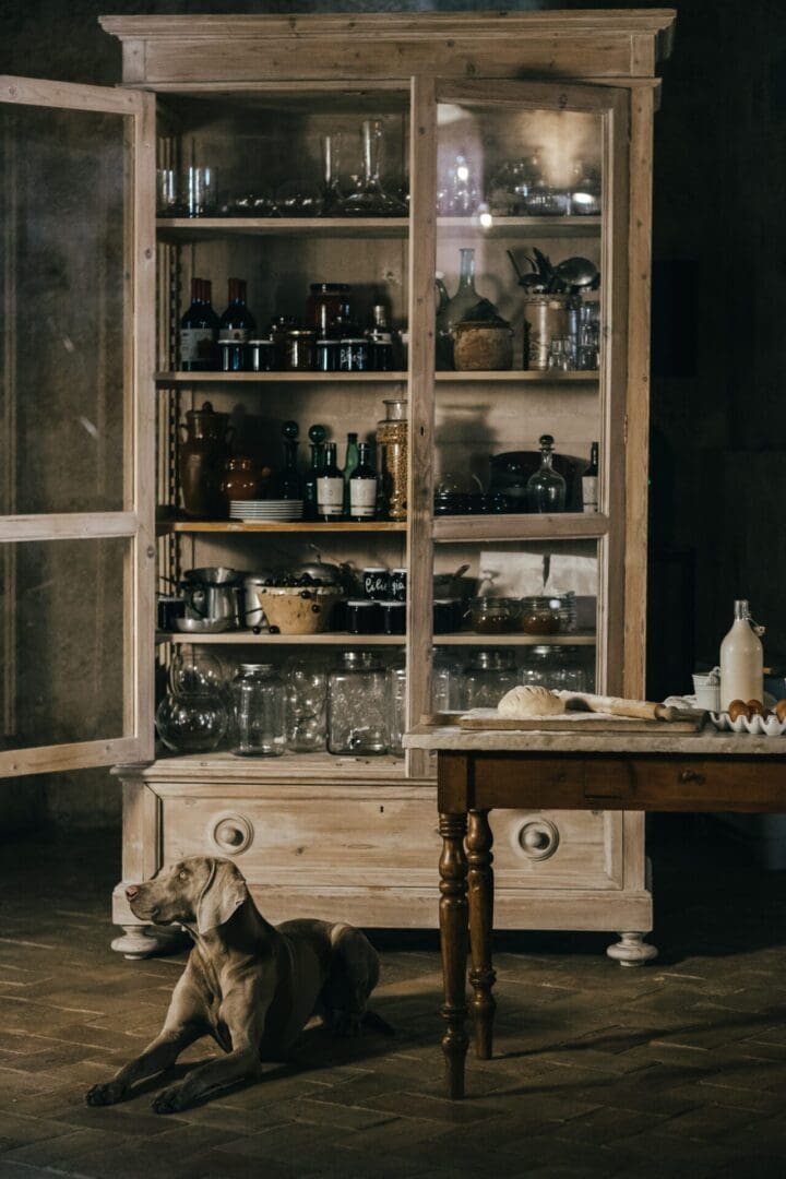 The ultimate dog-friendly boutique hotel guide 34 Susafaprint 61 scaled 1 scaled