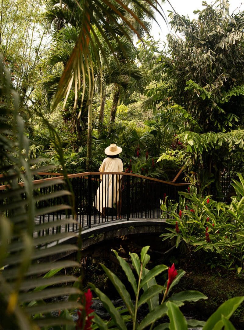 6 tree planting hotels for a forest-friendly stay 6 Tabacon