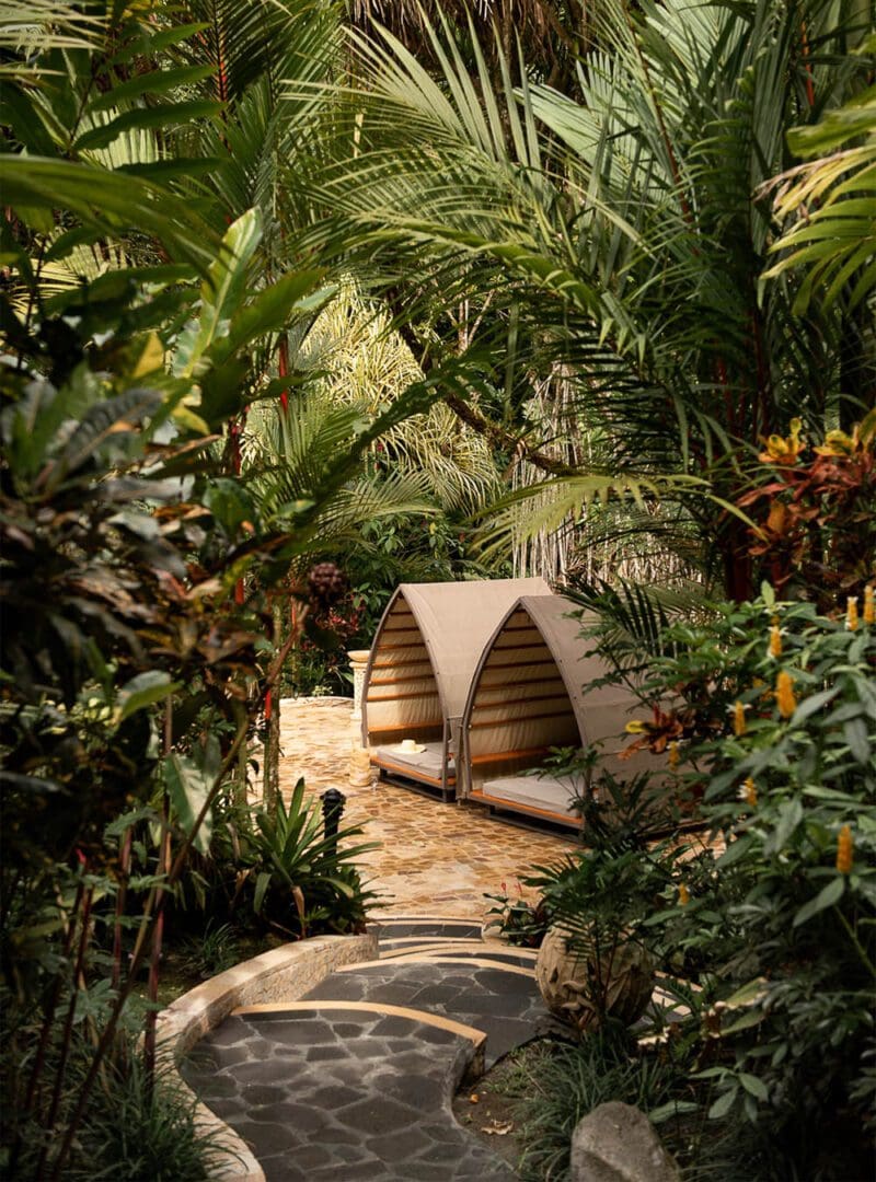 6 tree planting hotels for a forest-friendly stay 7 Tabacon
