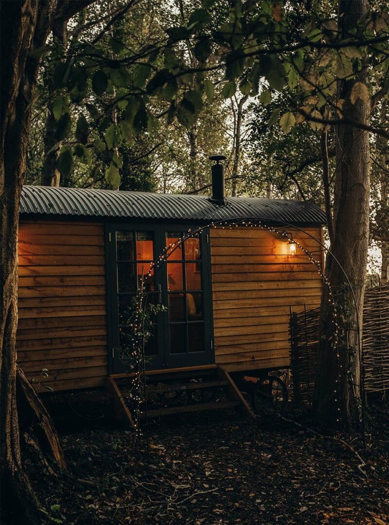 5 holiday ideas to embrace the autumn equinox 1 The Fish resized 3