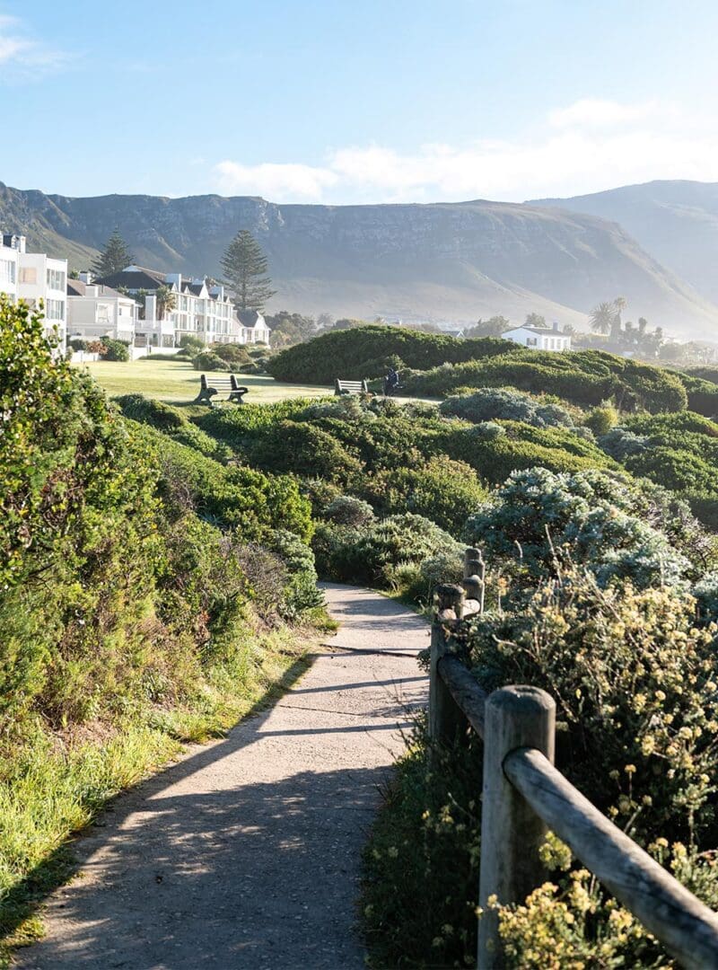Cape Town and the Garden Route: South Africa’s most scenic road trip 26 The Marine