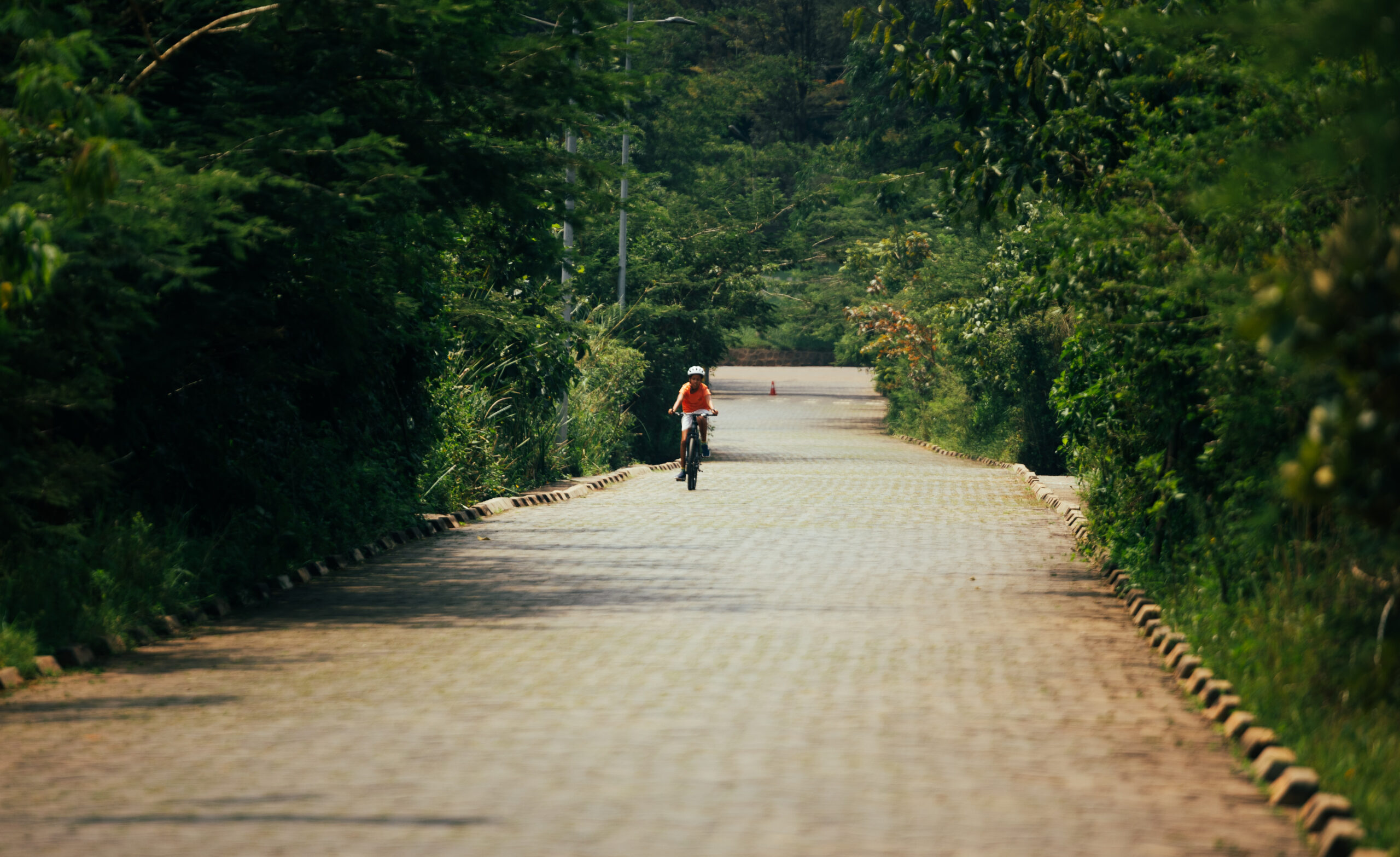 Independent Minds: Sheila Kyarisiima, The Pinnacle Kigali 3 The Pinnacle Kigali Nyandungu Eco Park Bike Rides scaled