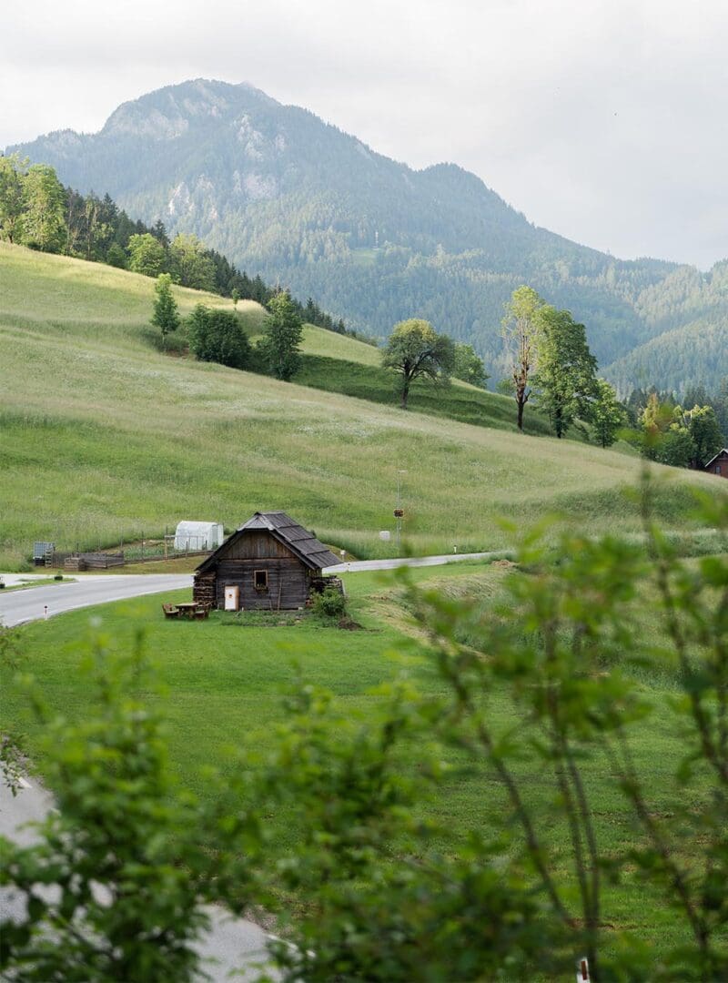 In with the new: 4 boutique hotels to inspire your next holiday 3 Vila Planinka resized 4
