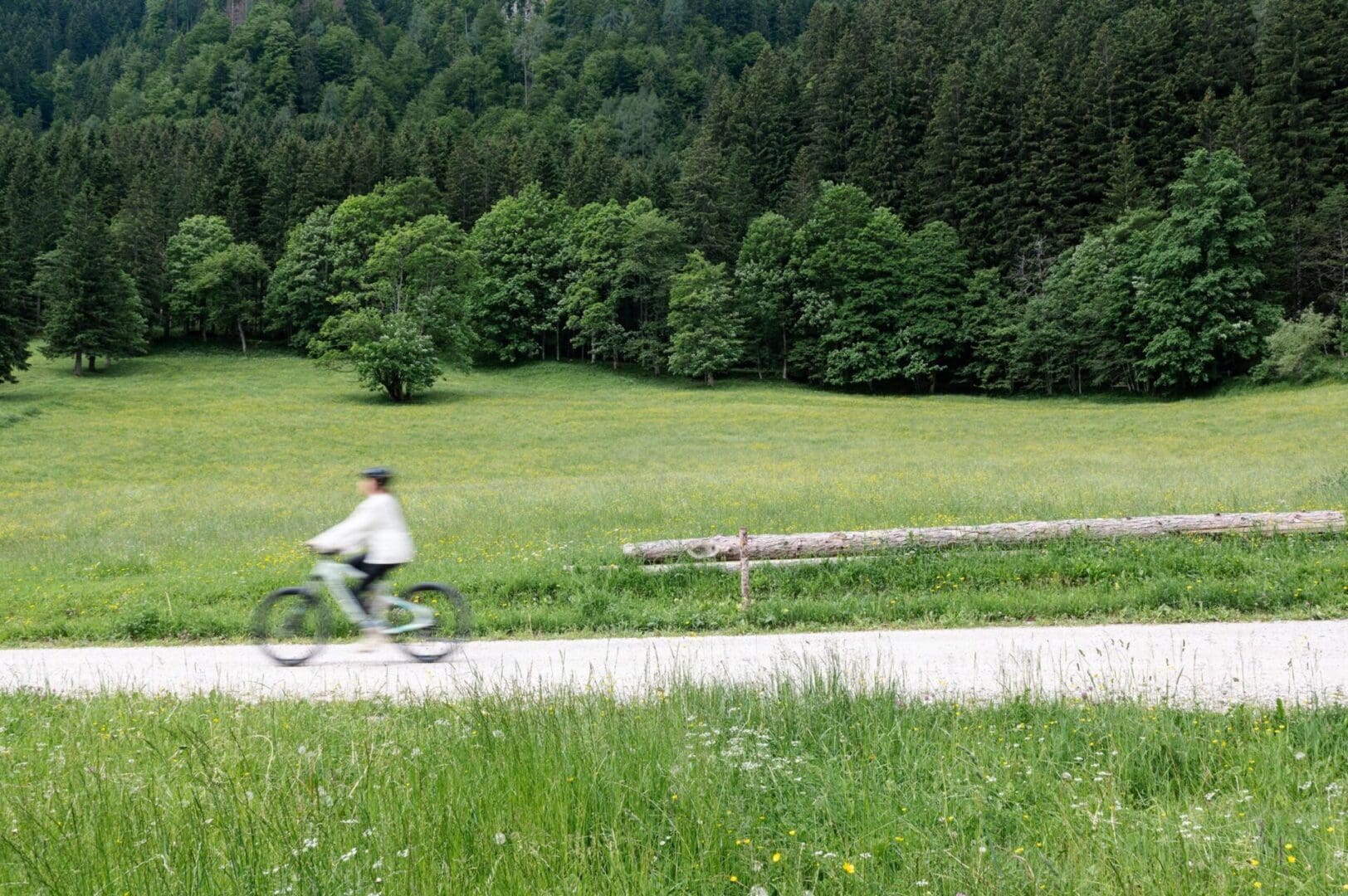 Vila Planinka: the Slovenian eco-resort for a soothing Alpine retreat 2 Vila Planinka resized 7 scaled 1 scaled