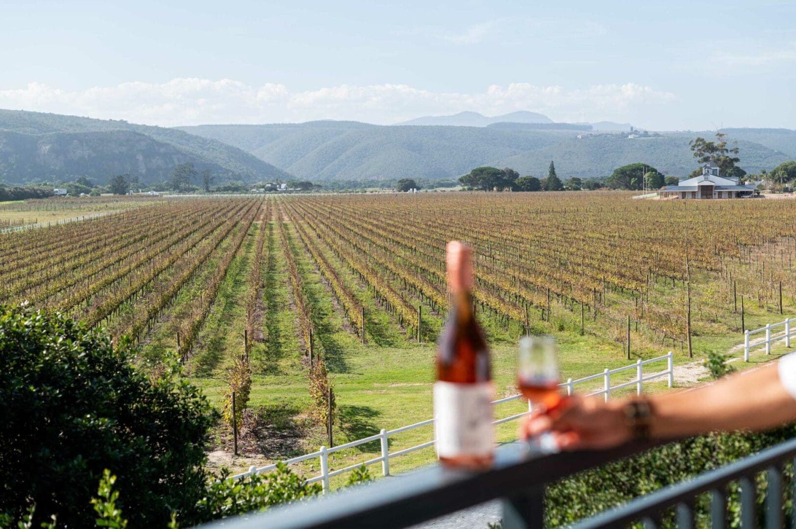 Go it alone: the luxury of solo travel 7 South Africa